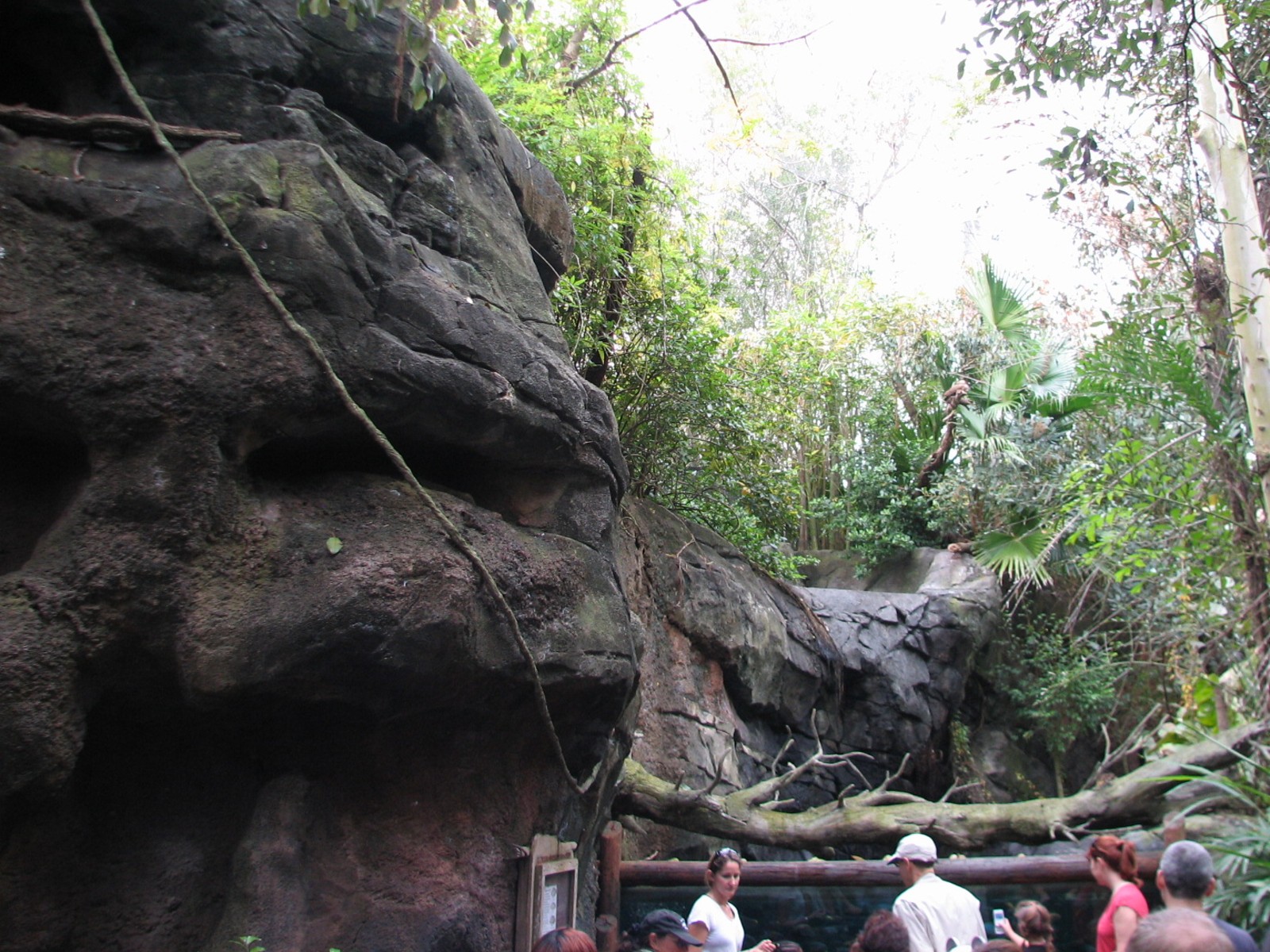 Pangani Forest Exploration Trail - Aviary