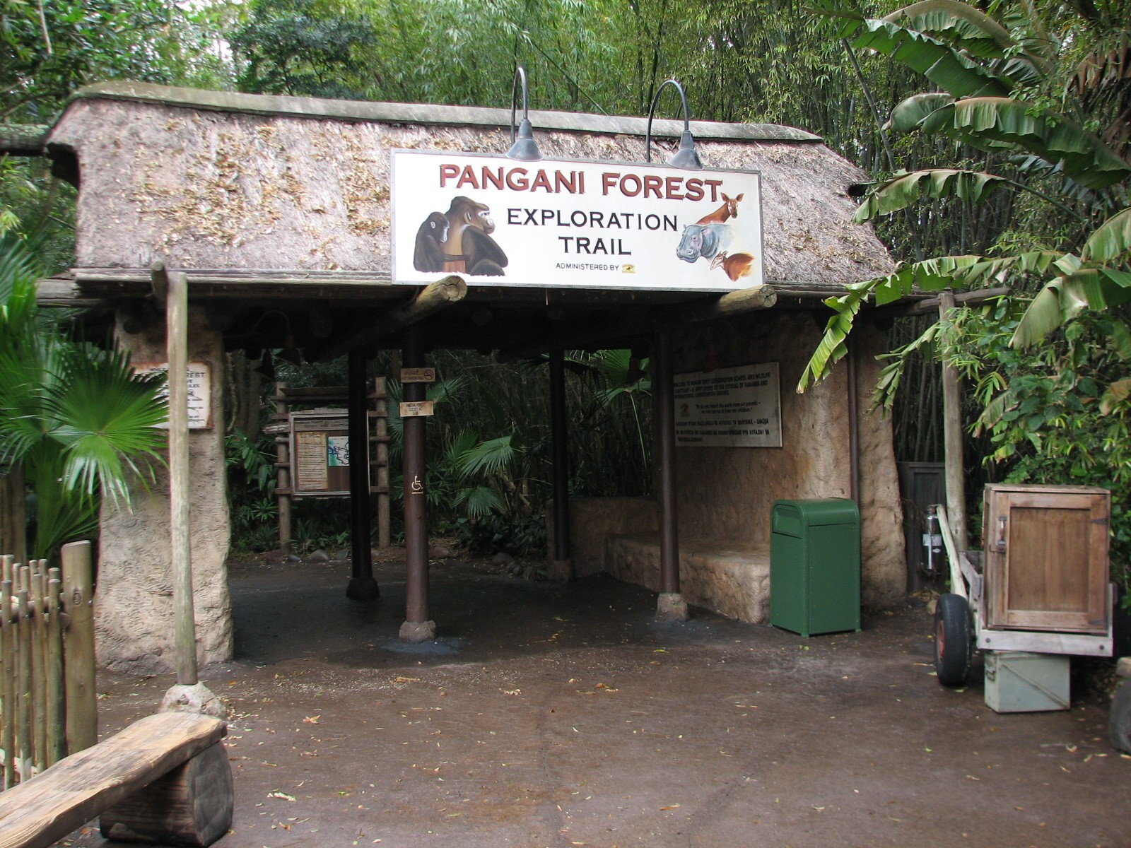 Pangani Forest Exploration Trail - Entry