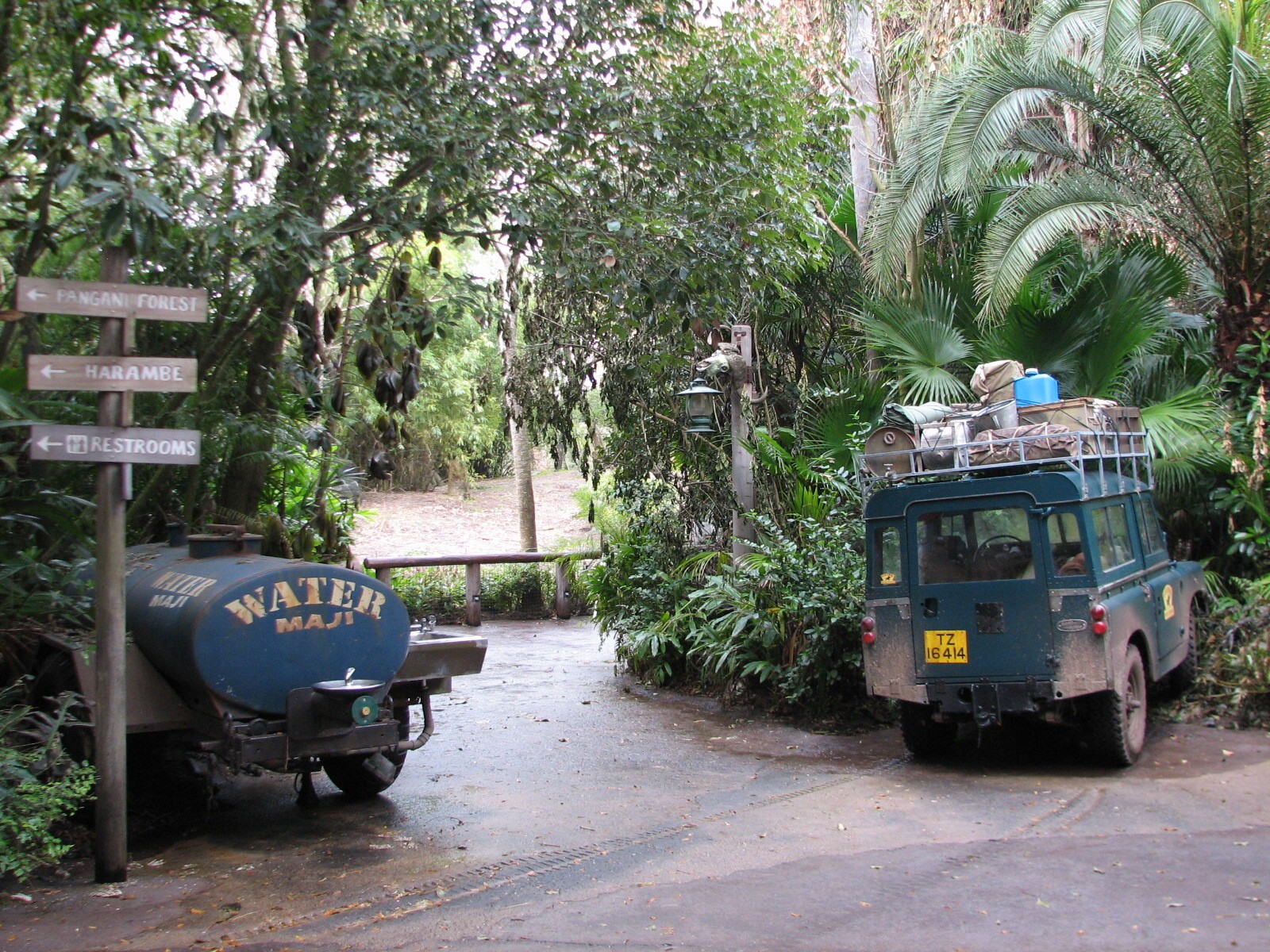 Pangani Forest Exploration Trail - Exit