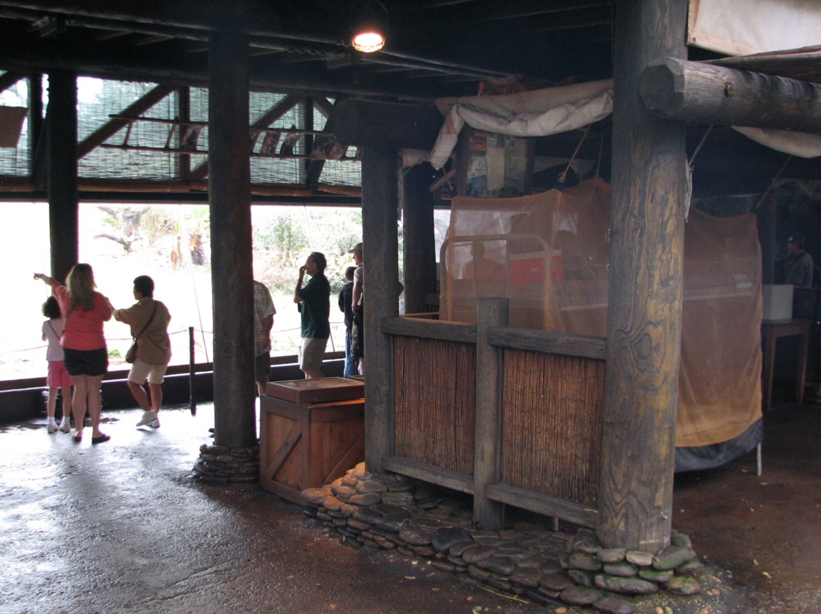 Pangani Forest Exploration Trail - Family Gorilla Exhibit Viewing Shelter
