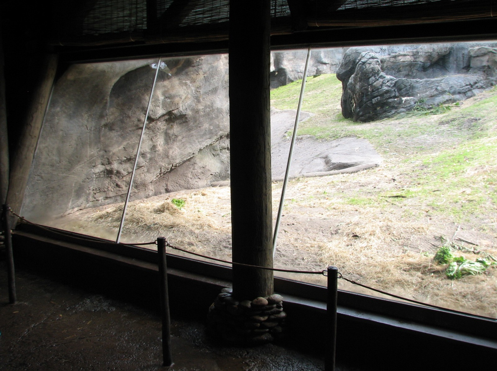 Pangani Forest Exploration Trail - Family Gorilla Exhibit Viewing Shelter