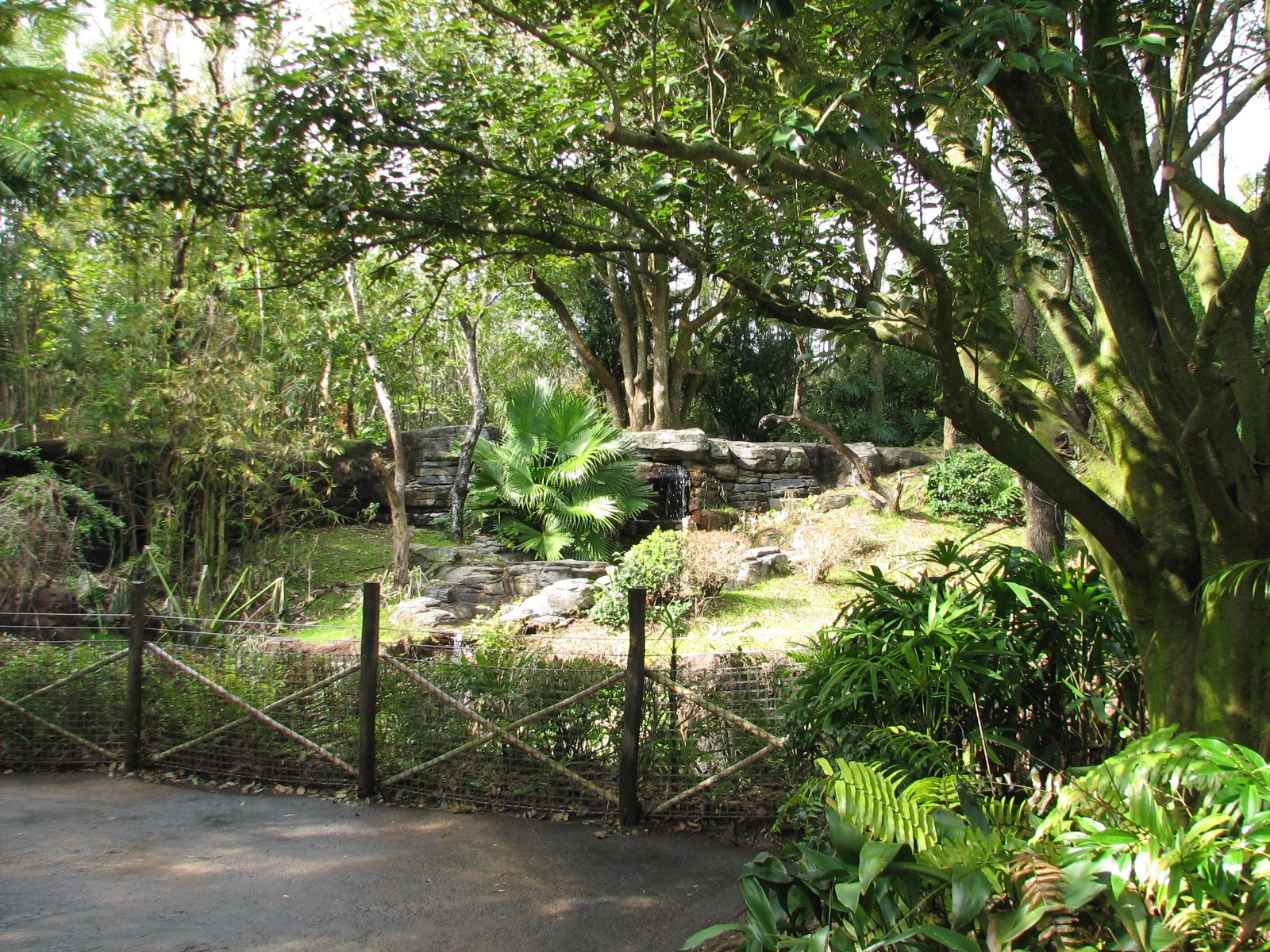 Pangani Forest Exploration Trail - Family Gorilla Exhibit