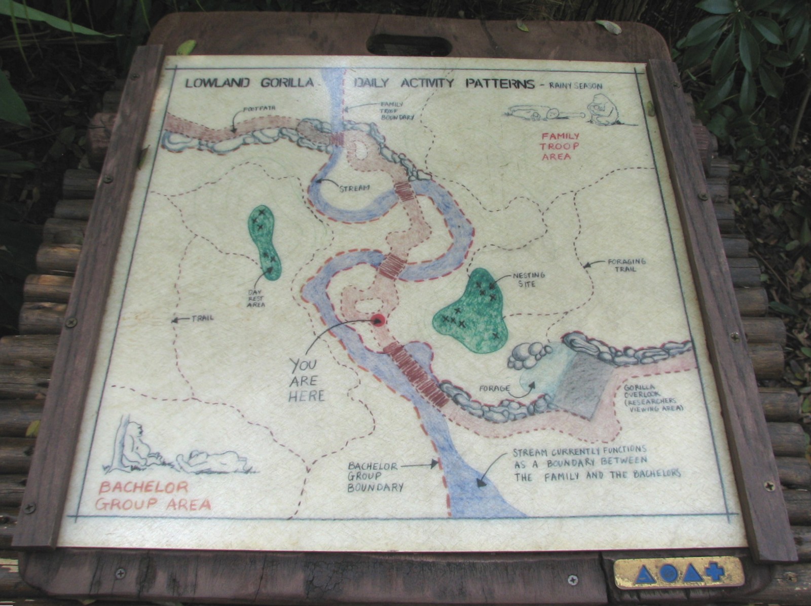 Pangani Forest Exploration Trail - Gorilla Exhibits Map