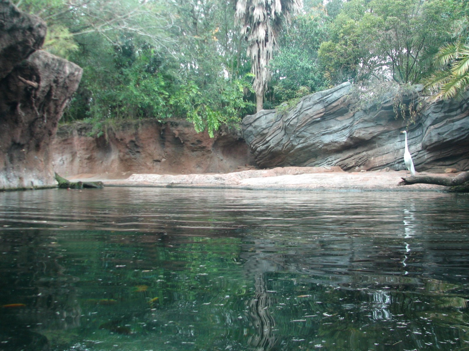 Pangani Forest Exploration Trail - Hippo Exhibit