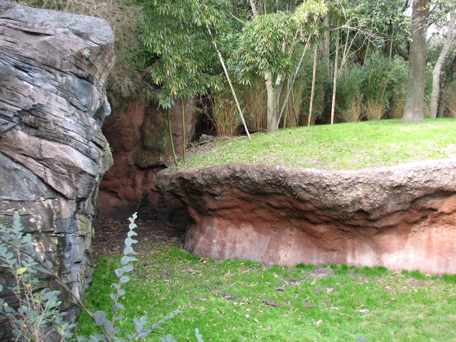 Pangani Forest Exploration Trail - Meerkat and Gerenuk Exhibits