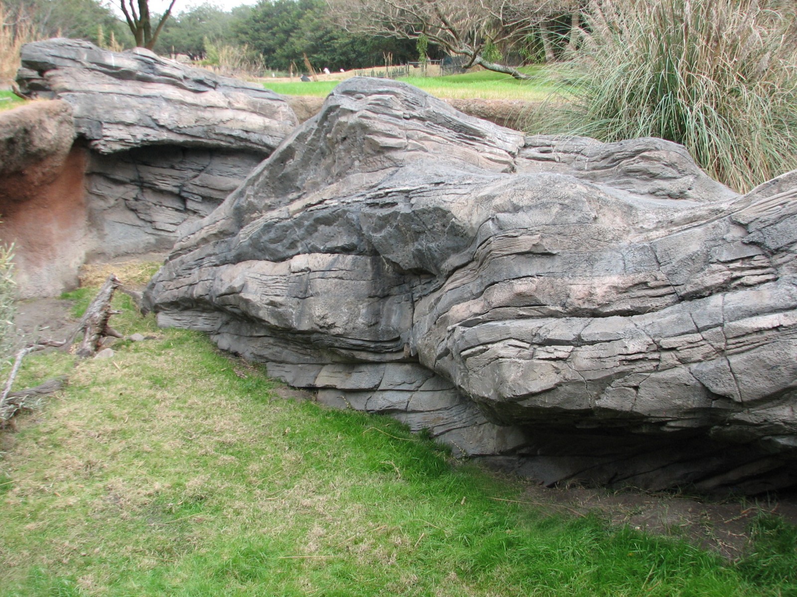 Pangani Forest Exploration Trail - Meerkat and Gerenuk Exhibits