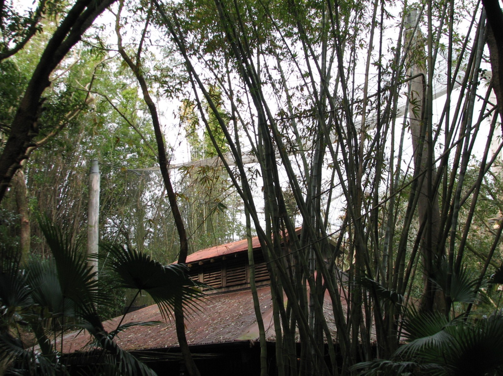 Pangani Forest Exploration Trail - Research Station