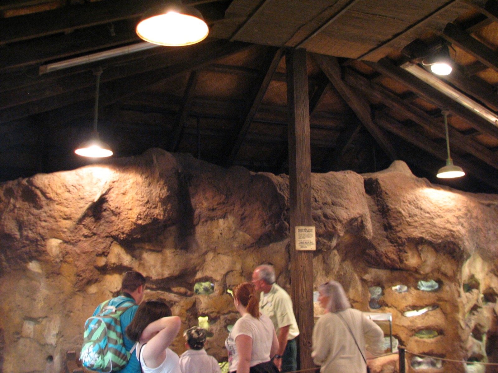 Pangani Forest Exploration Trail - Research Station