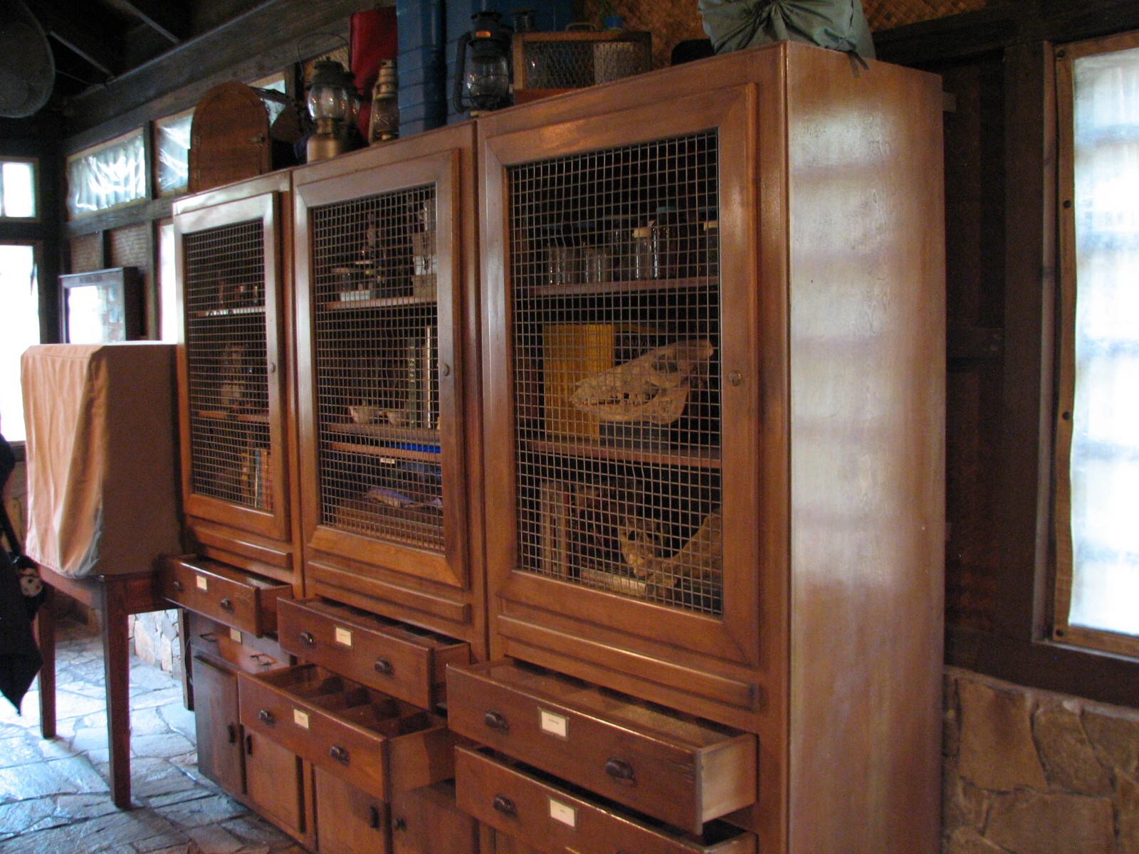 Pangani Forest Exploration Trail - Research Station