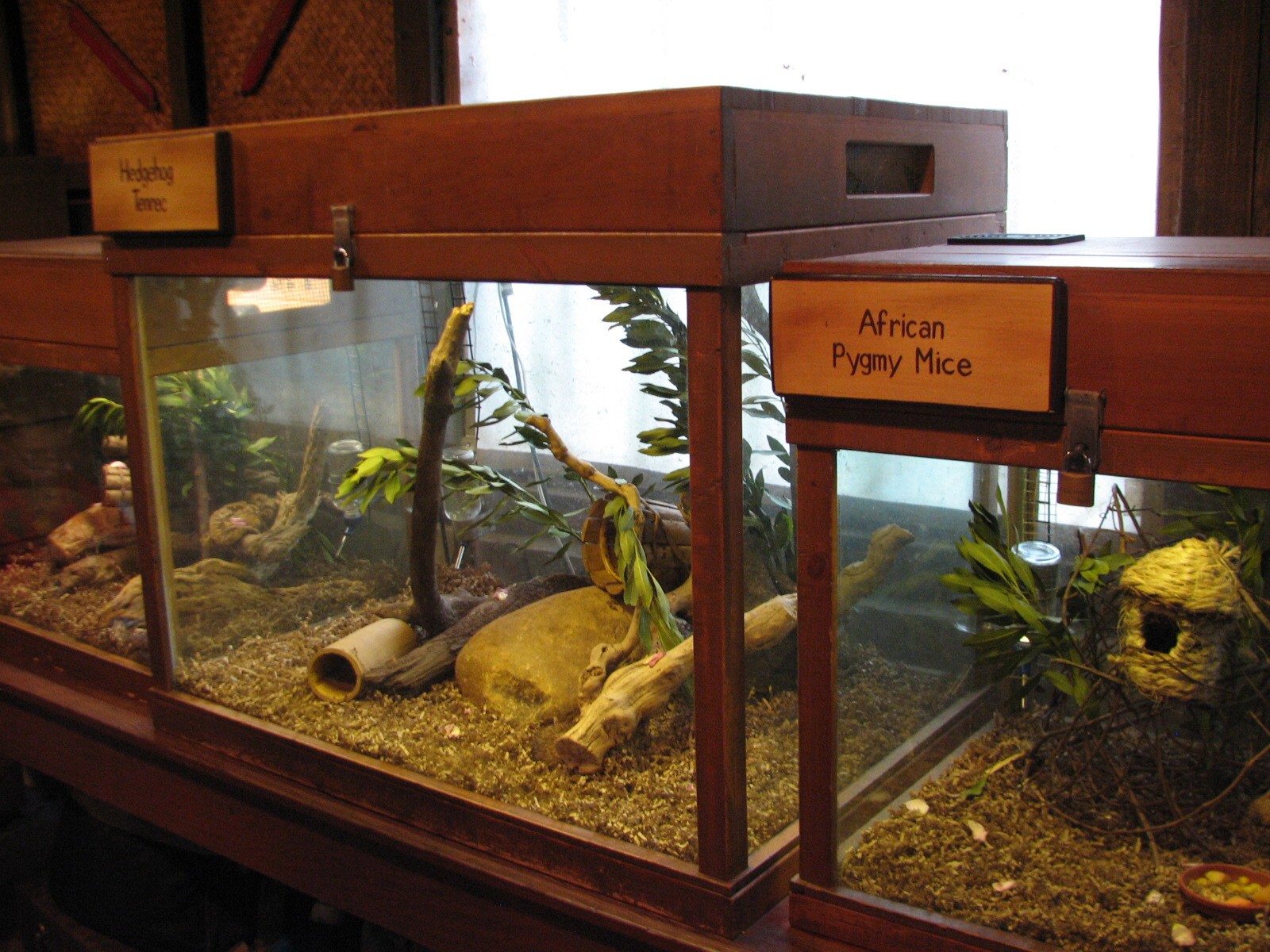 Pangani Forest Exploration Trail - Research Station