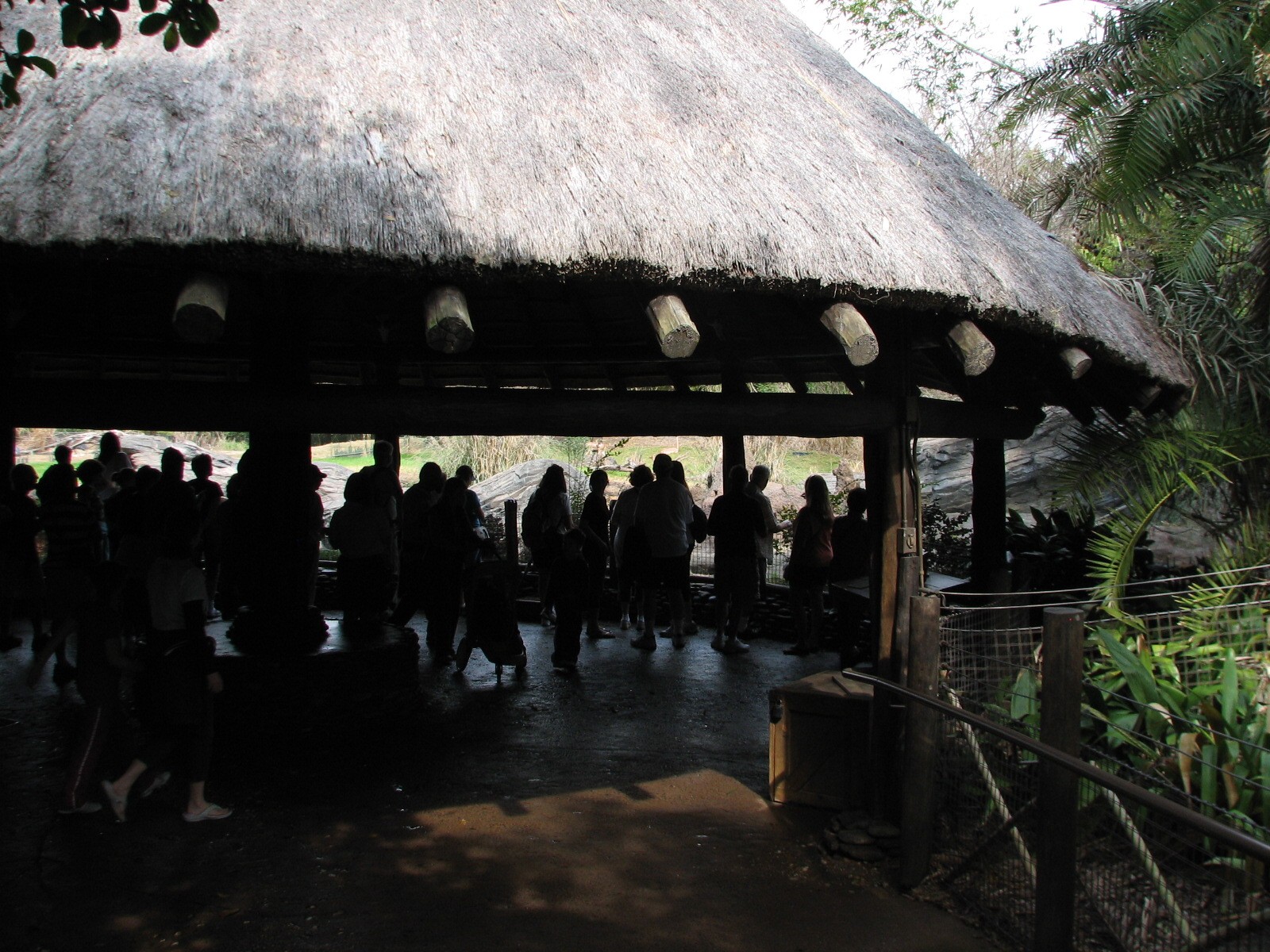 Pangani Forest Exploration Trail - Savanna Overlook Viewing Shelter