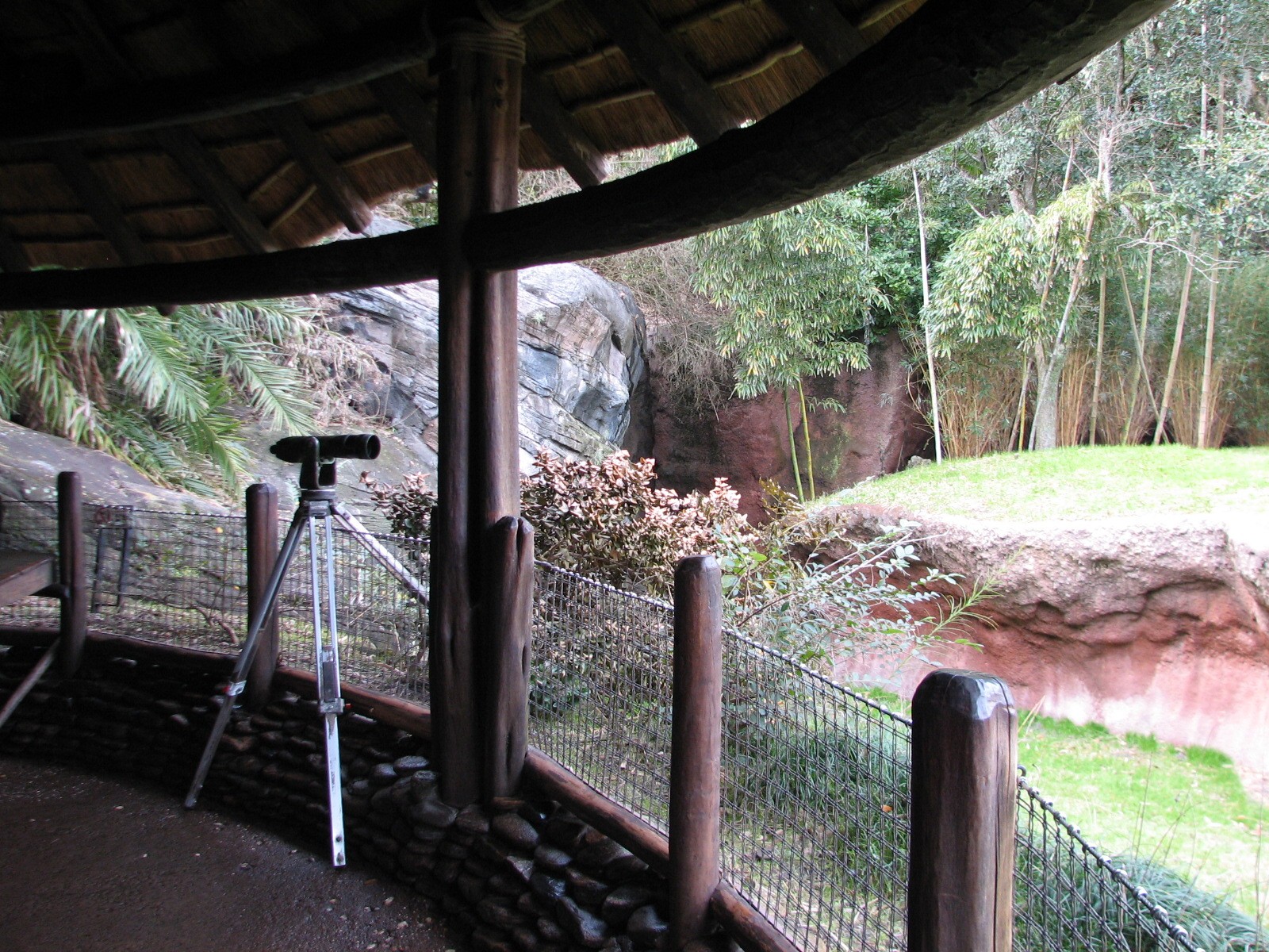 Pangani Forest Exploration Trail - Savanna Overlook Viewing Shelter