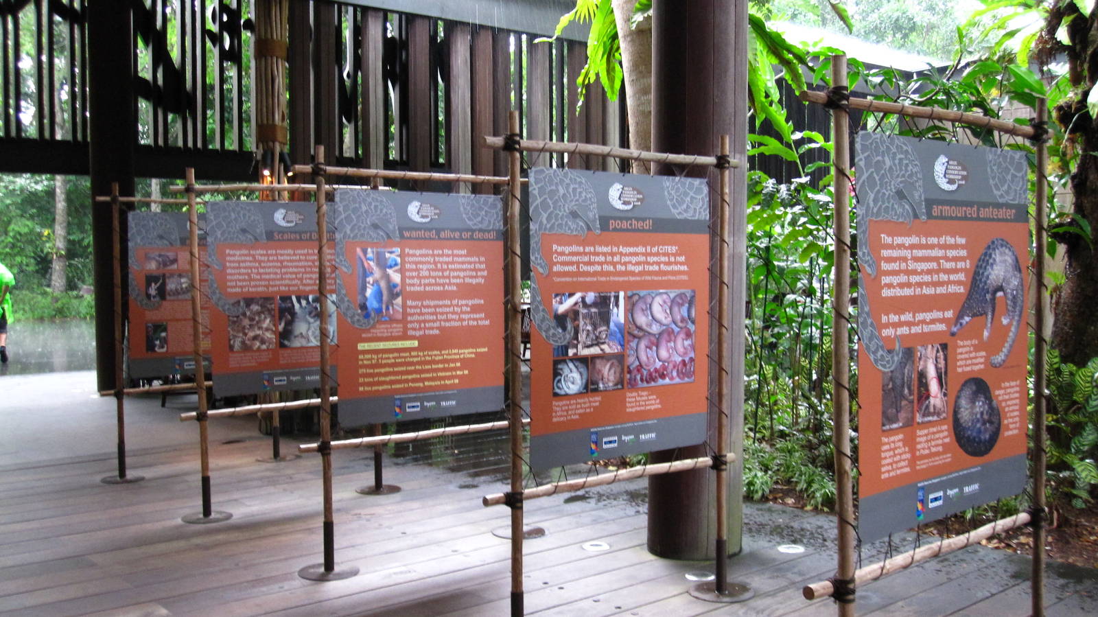 Pangolin Conservation Signs