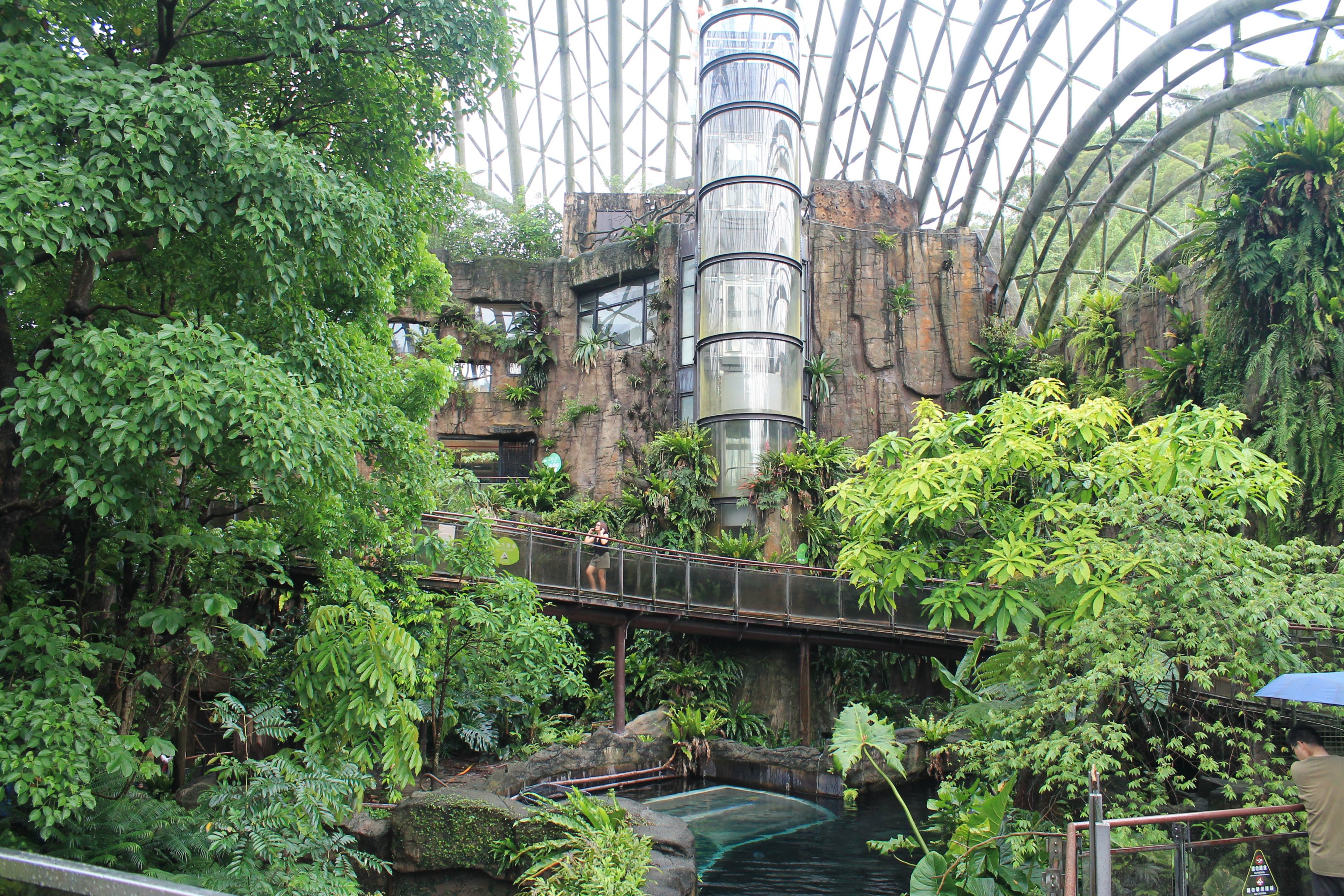 Pangolin Dome interior
