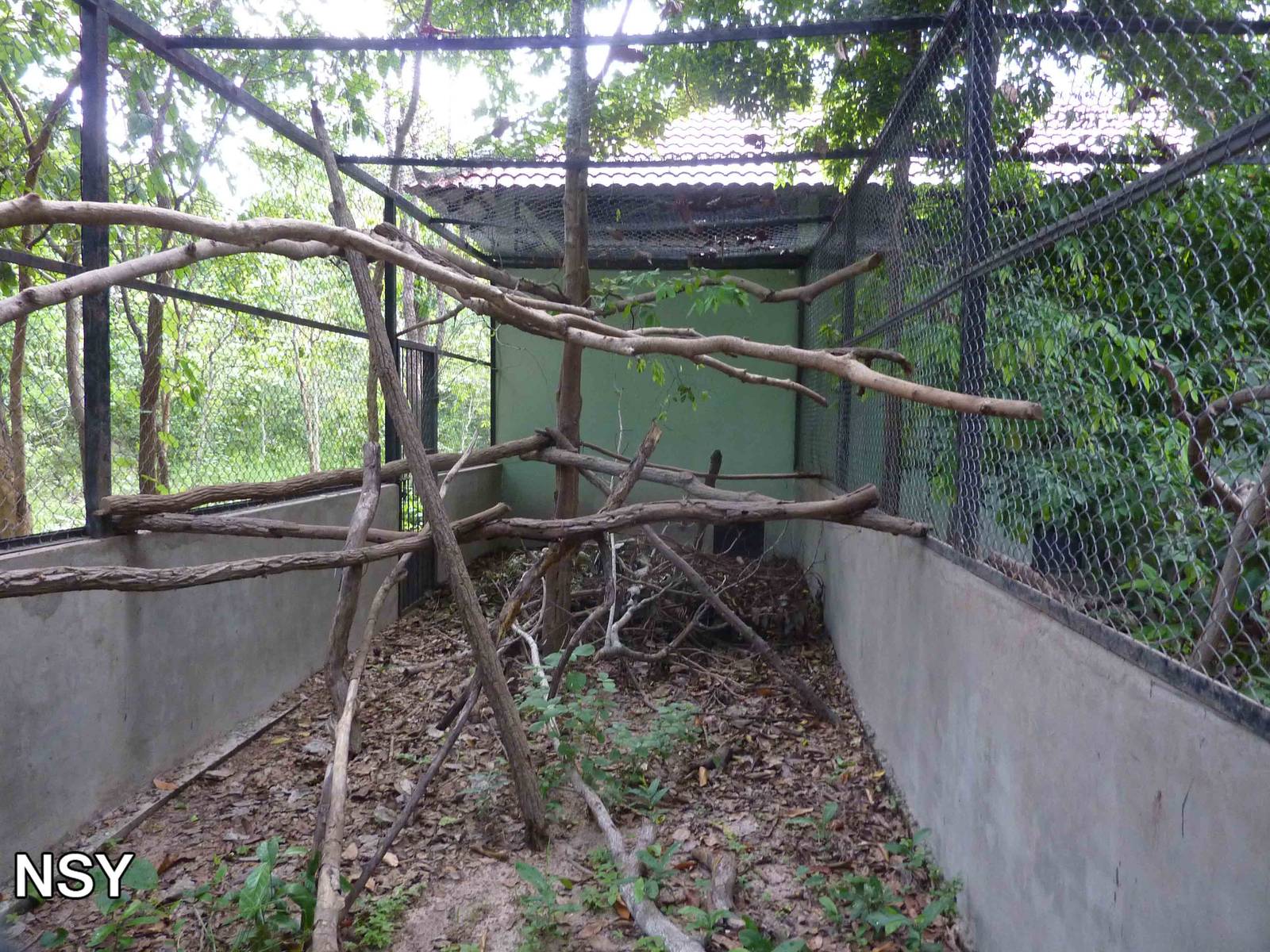 Pangolin enclosure, May 2013.