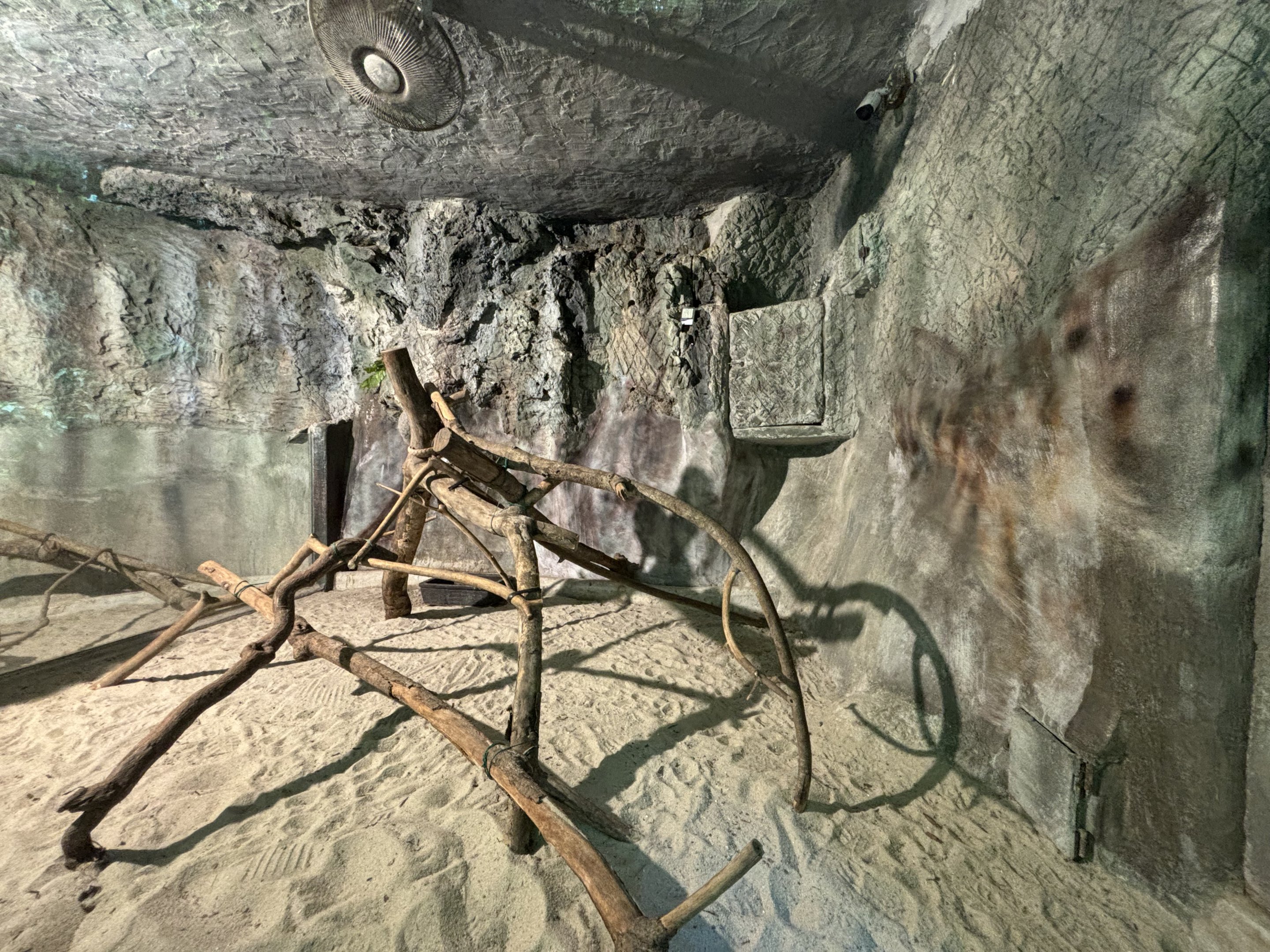 Pangolin Exhibit - Lost World of Tambun