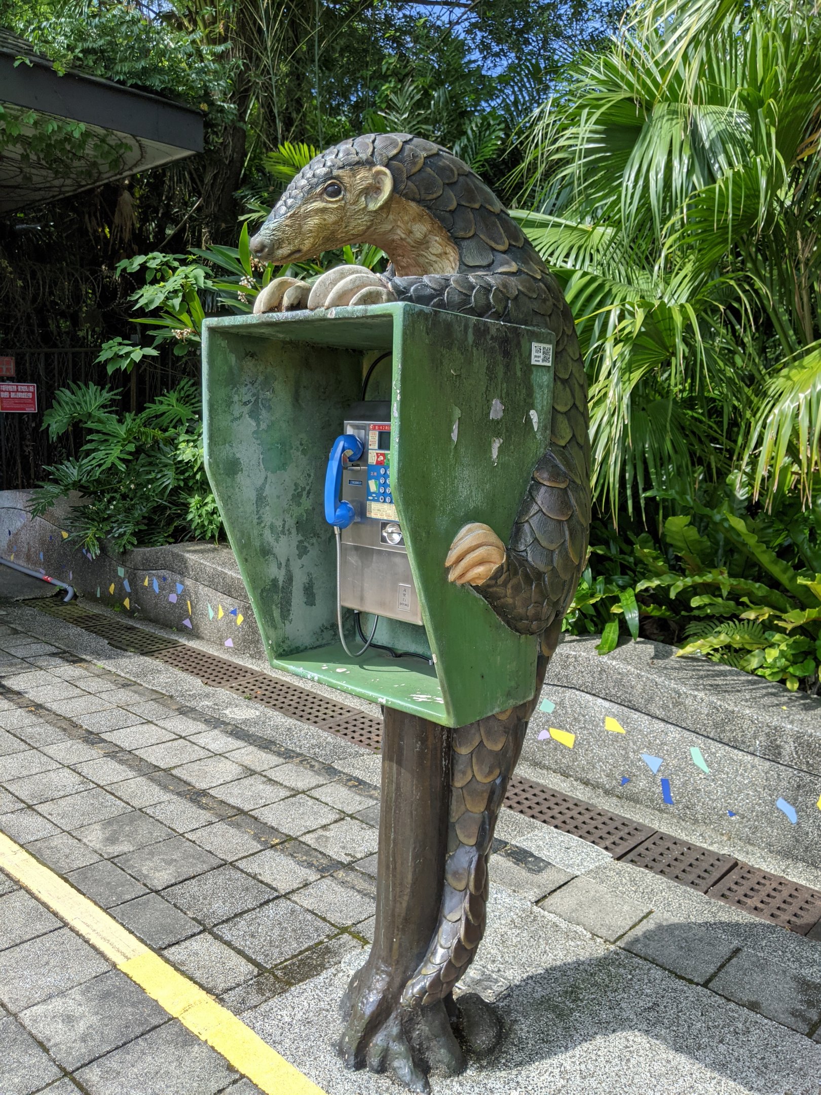 Pangolin phone box