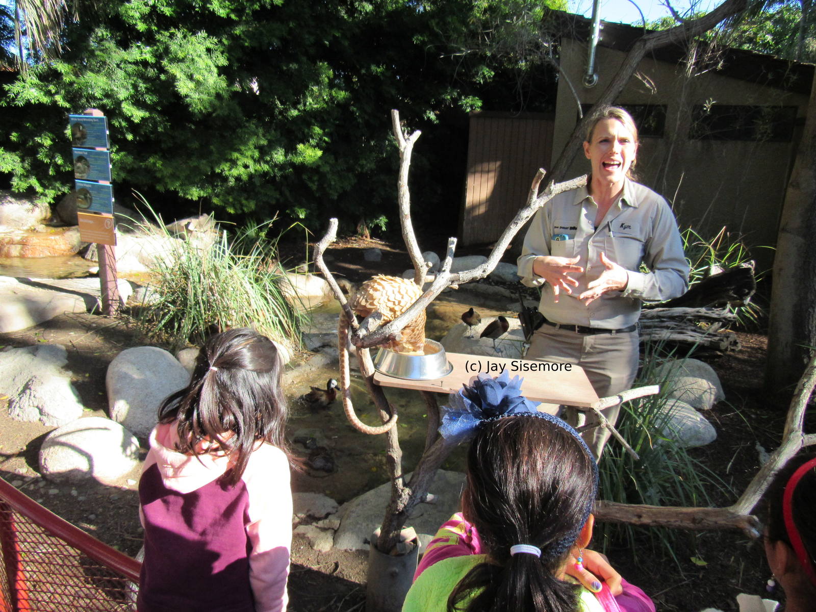 Pangolin Presentation