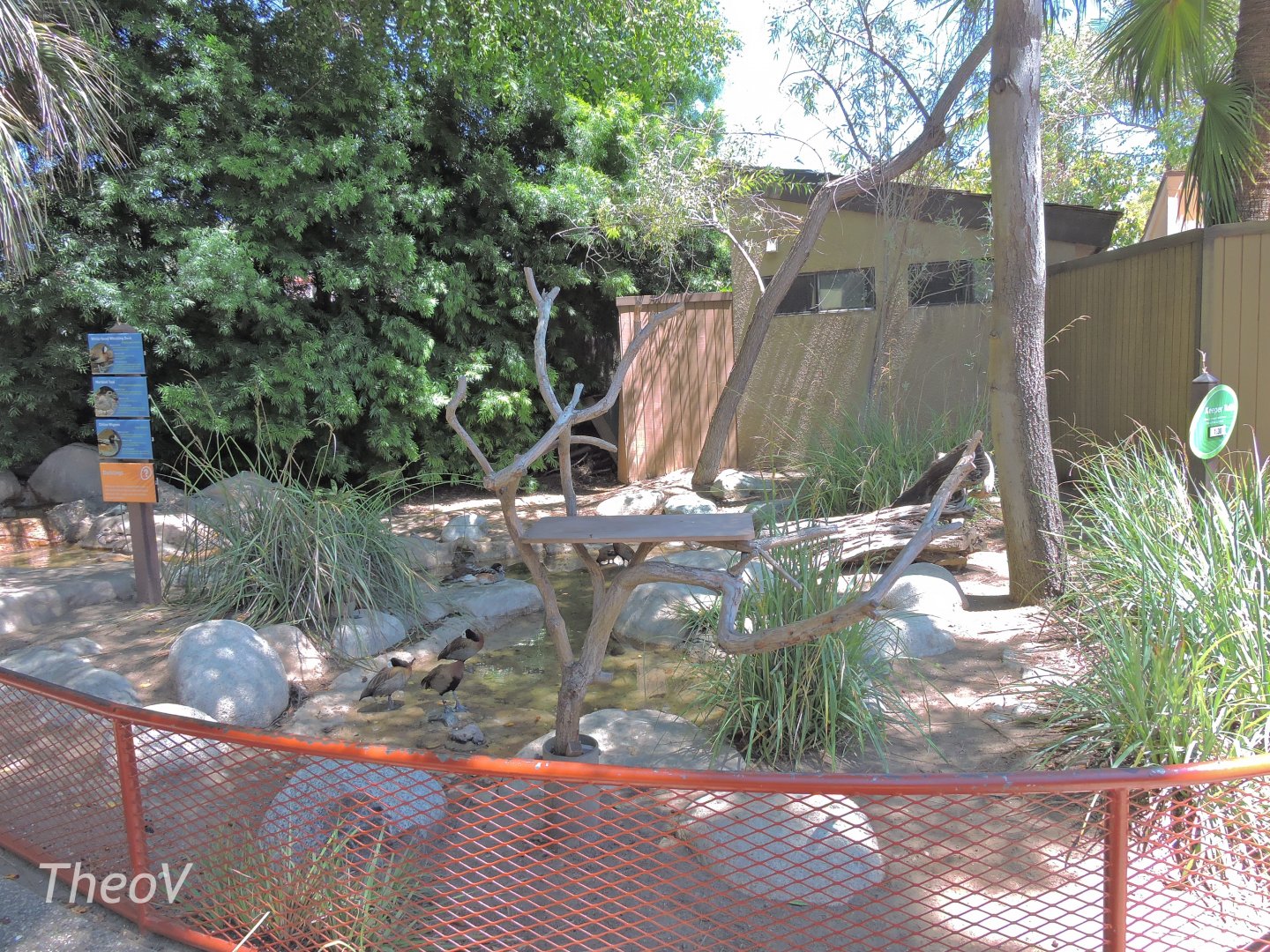 Pangolin show area - Discovery Outpost [2015]