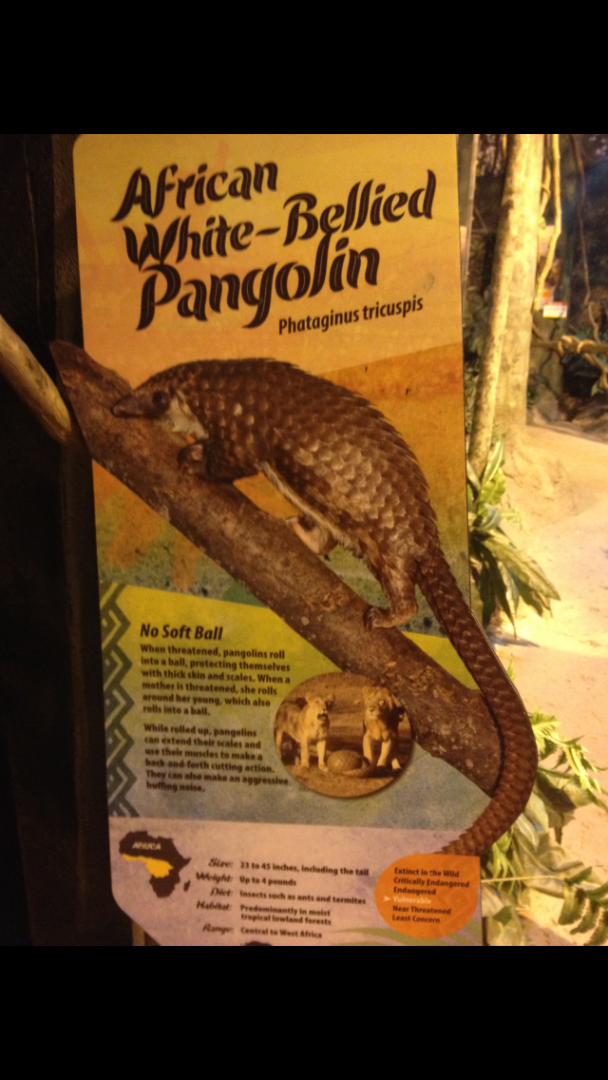 Pangolin Signage
