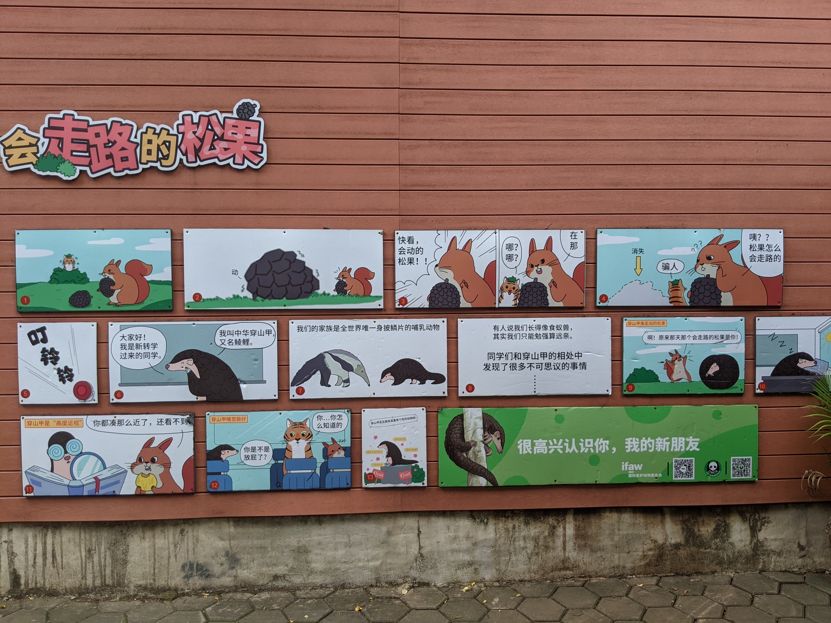 Pangolin story boards