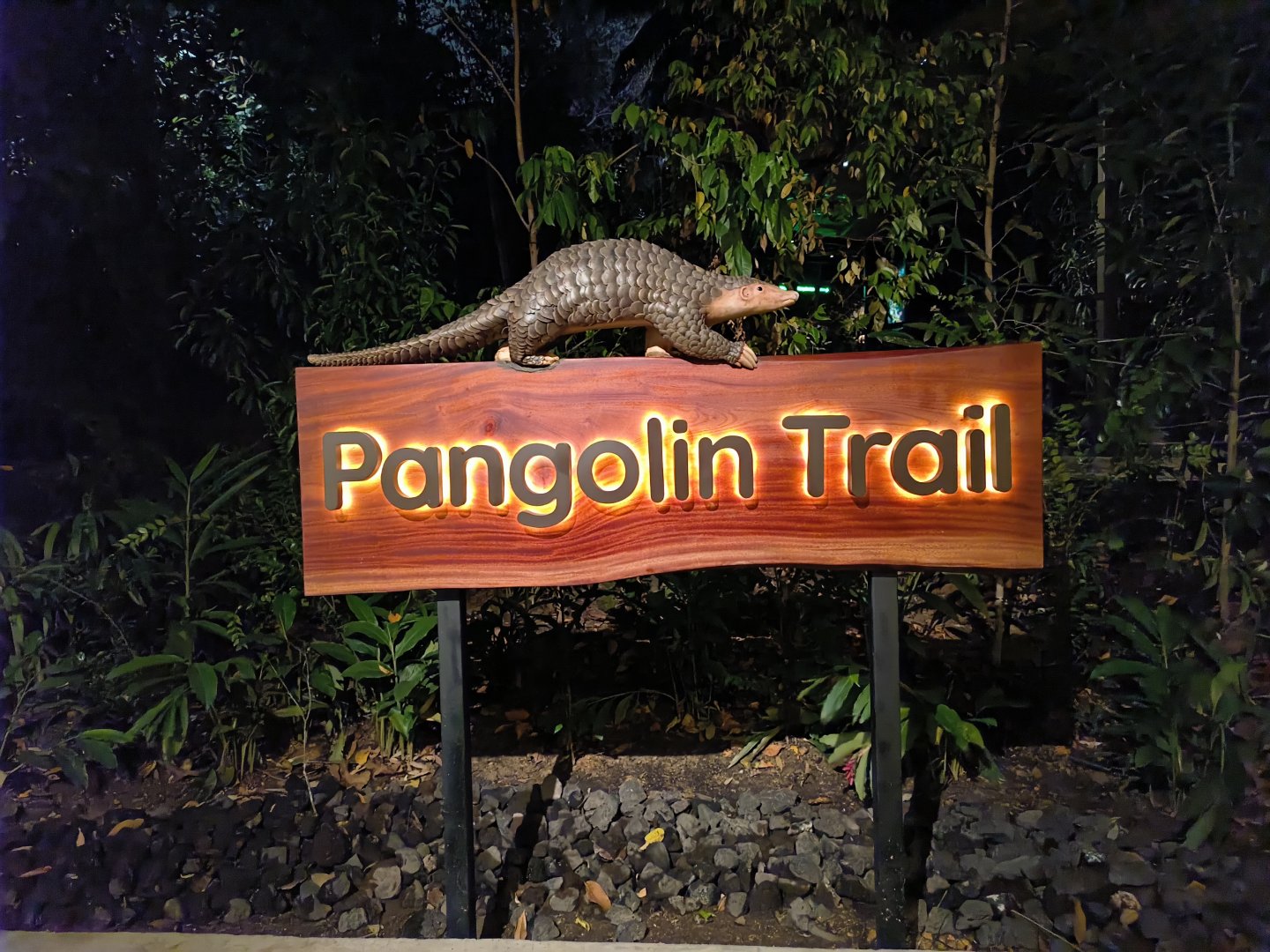 Pangolin Trail Entrance Board