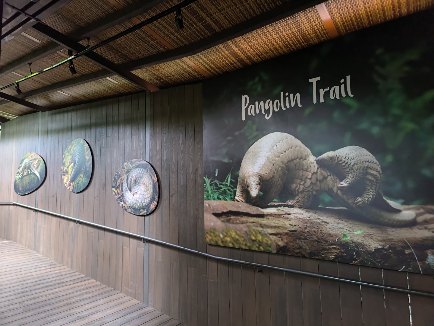 Pangolin Trail Entrance