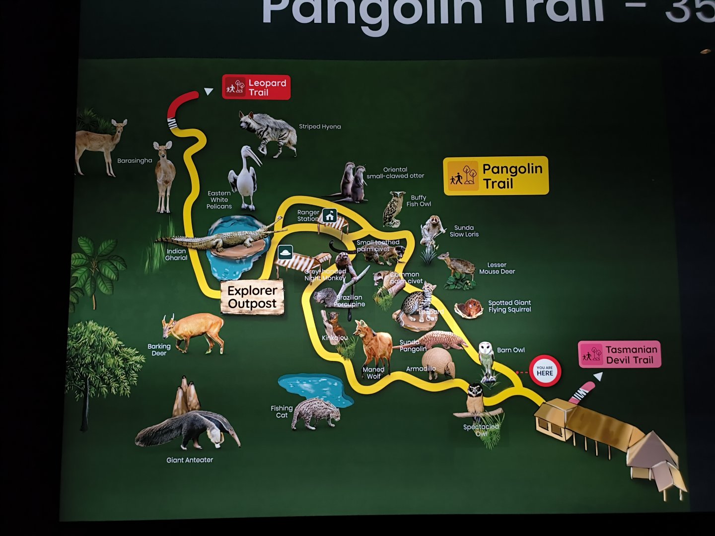 Pangolin Trail Map