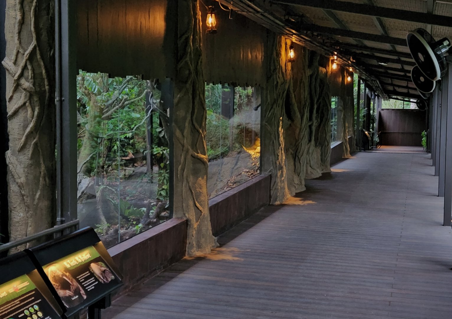 Pangolin Trail - Pangolin, Civets and Leopard Cat mixed exhibits