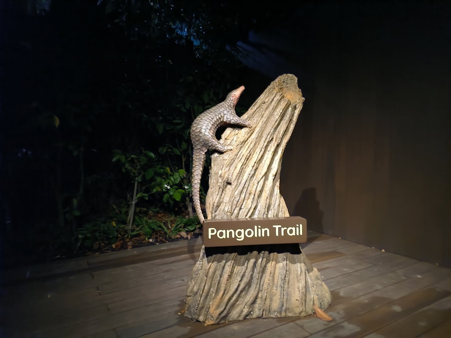 Pangolin Trail Statue