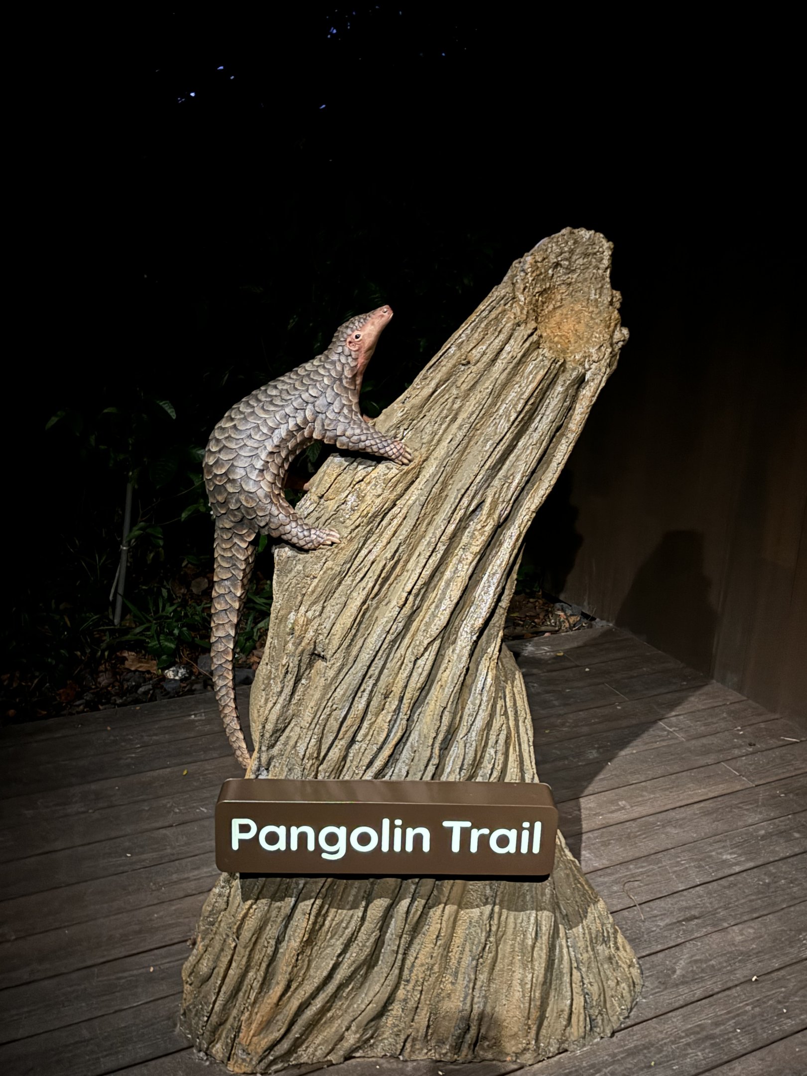 Pangolin Trail Statue