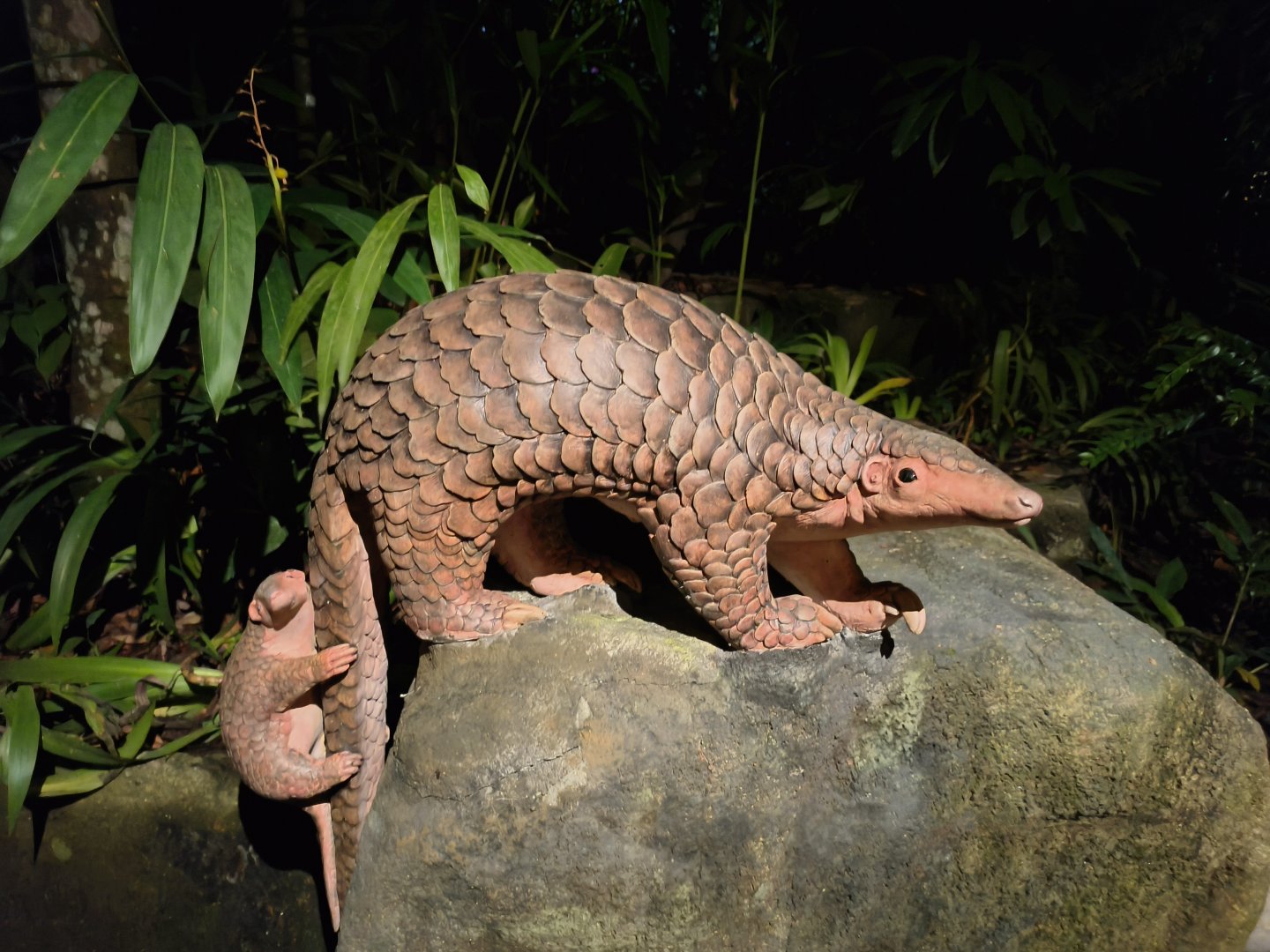 Pangolin Trail Statues