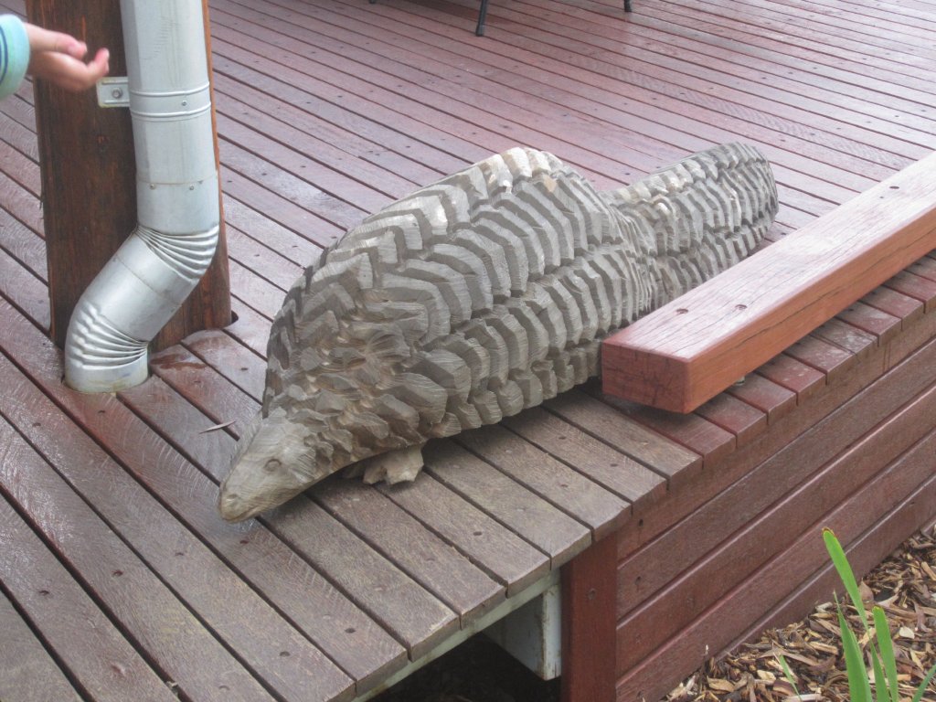 Pangolin