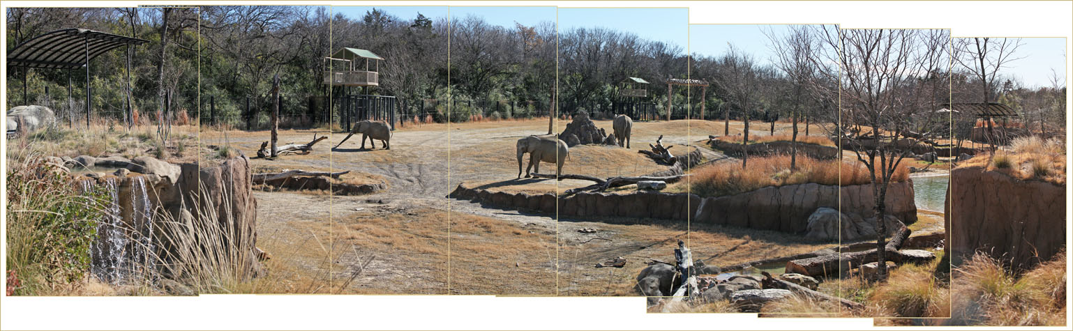 panorama - Giants Of The Savannah