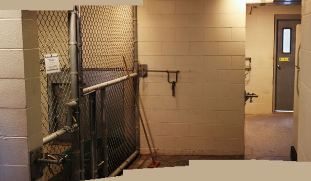 panorama of anteater nighthouse