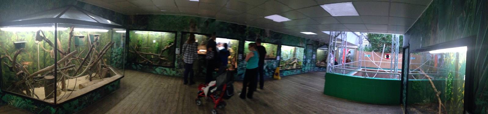 Panorama of Creature Corner at Tropical World - 02/10/2013