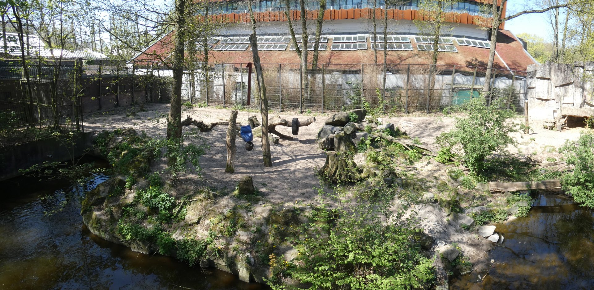 Panorama of Lion enclosure