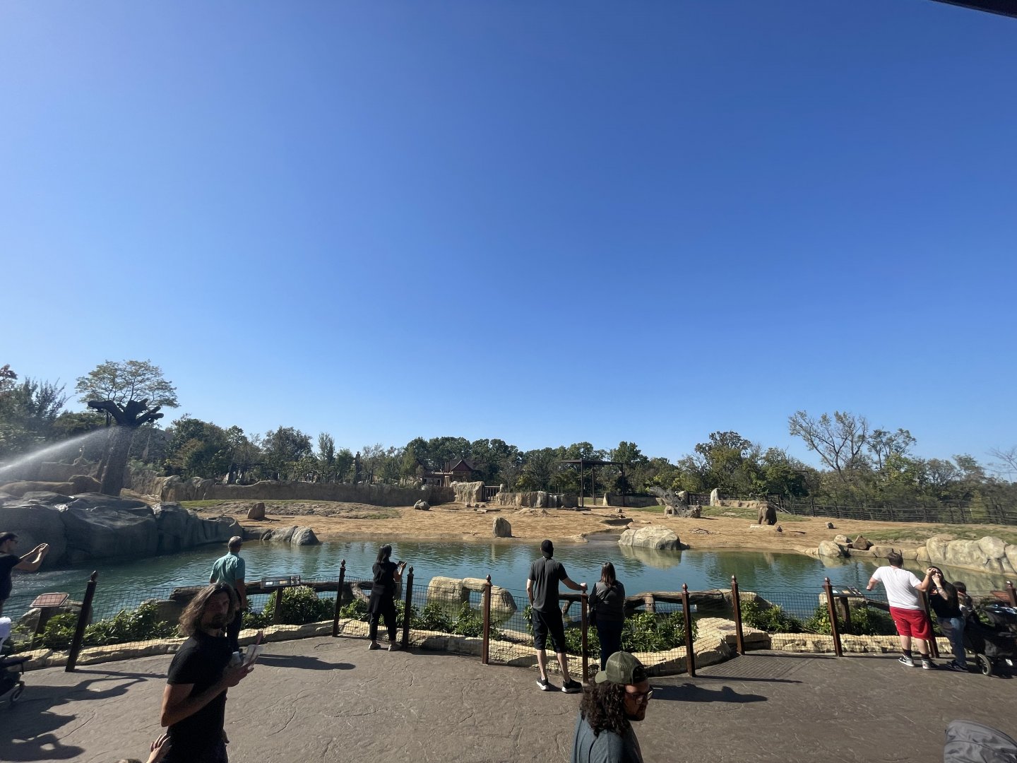 Panoramic Shot of Elephant Trek