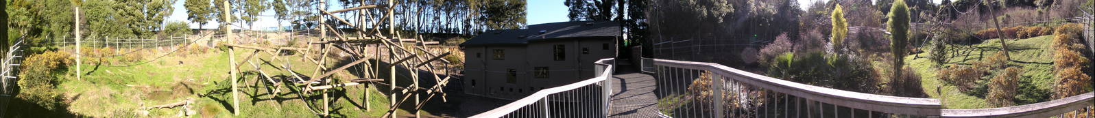 Panoramic View of Chimp enclosure