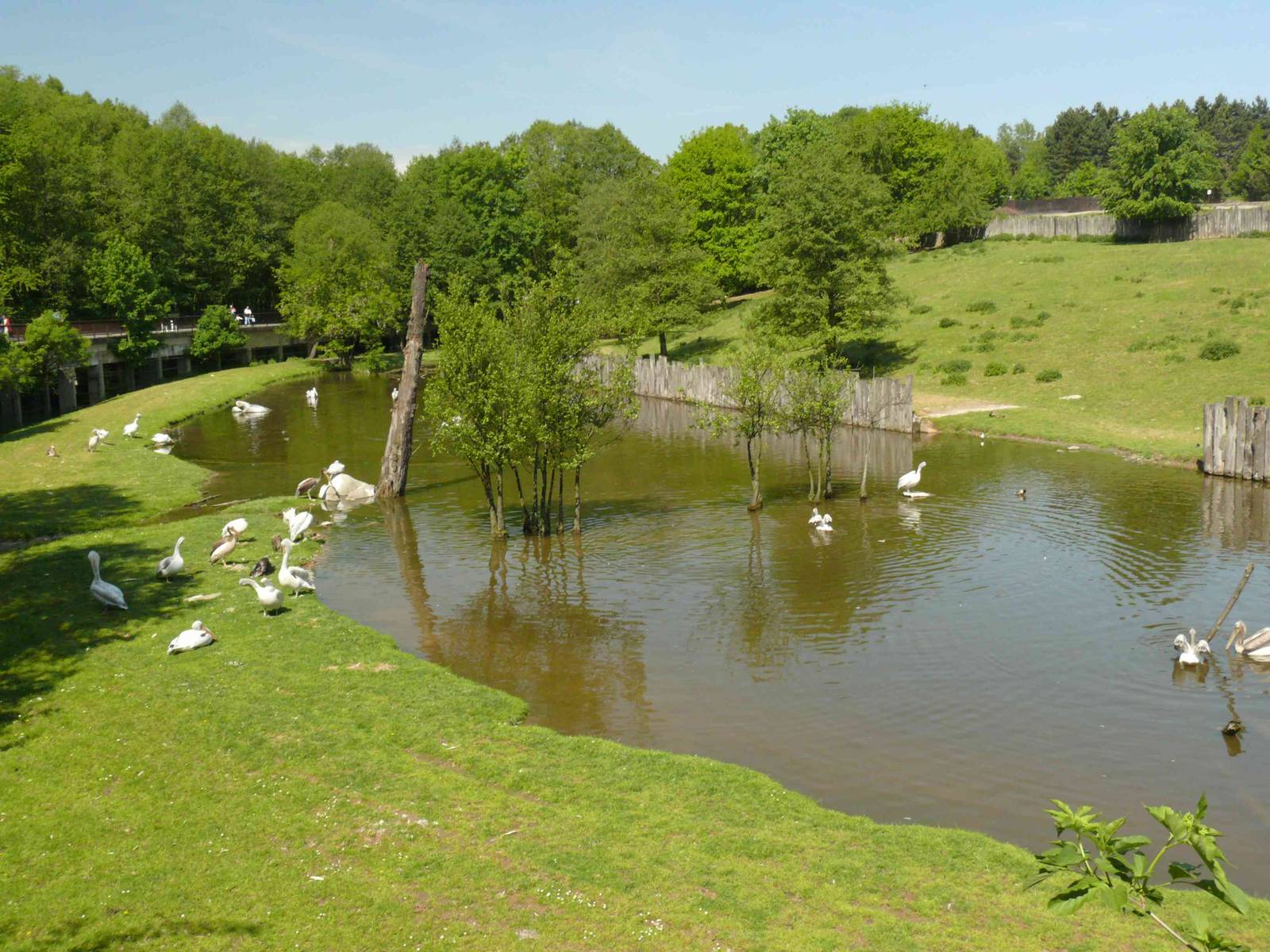 Panormatic enclosure