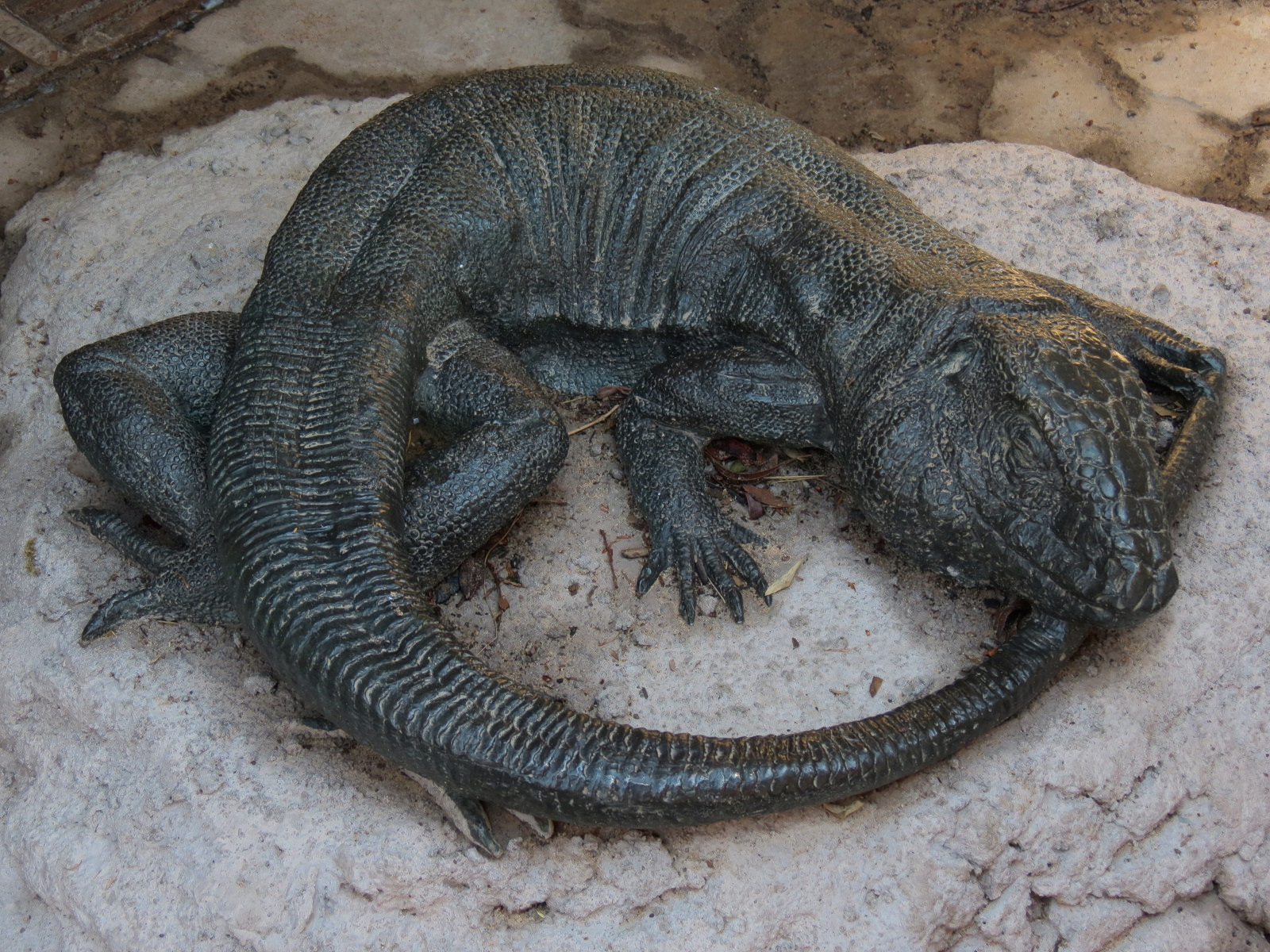 Pantanal - Caiman Lizard Sculpture