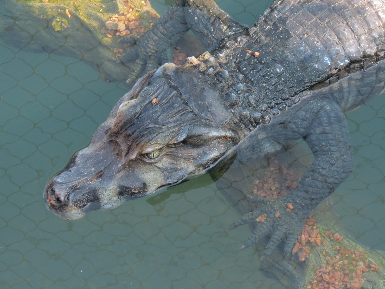 Pantanal - Caiman Sculpture