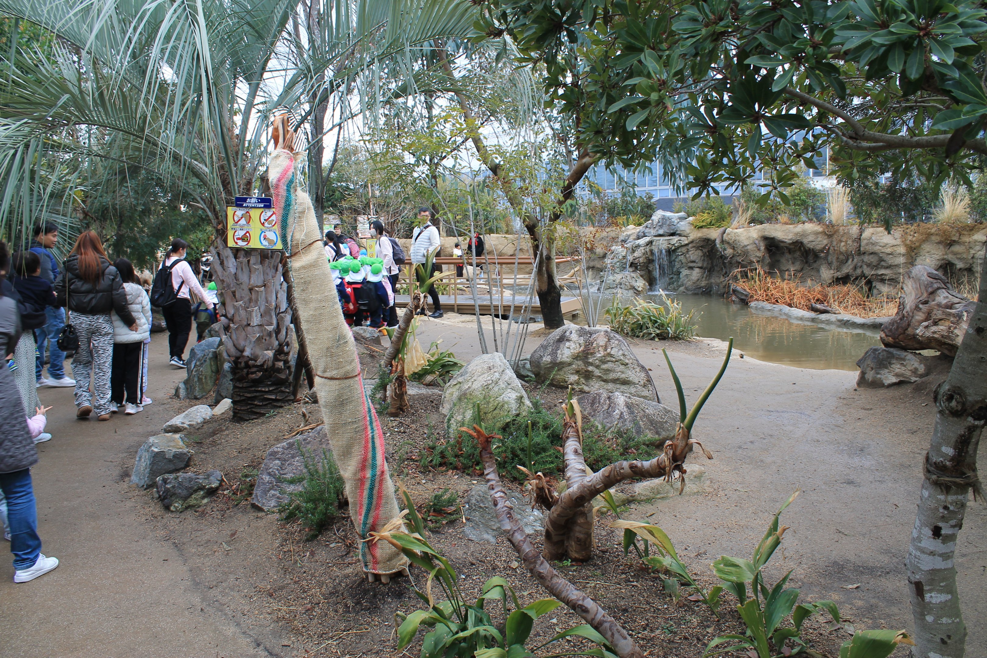 Pantanal (Capybara walk-in enclosure)