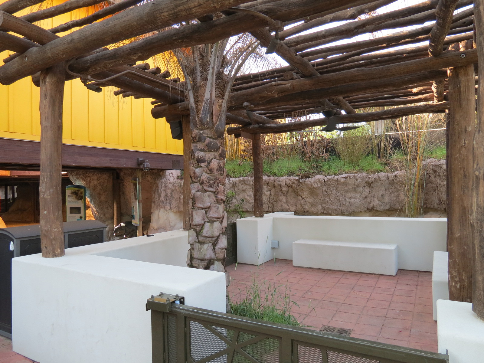 Pantanal - Courtyard