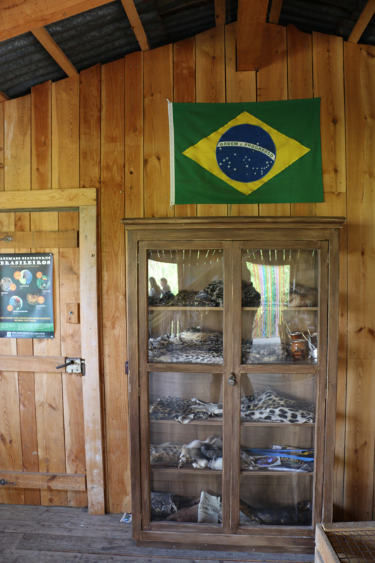 pantanal: educational display