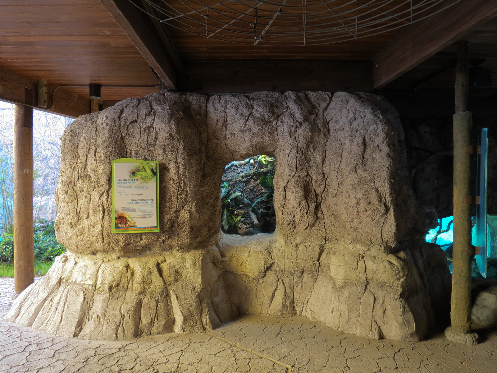 Pantanal - Emerald Tree Boa and Smoky Jungle Frog Exhibit