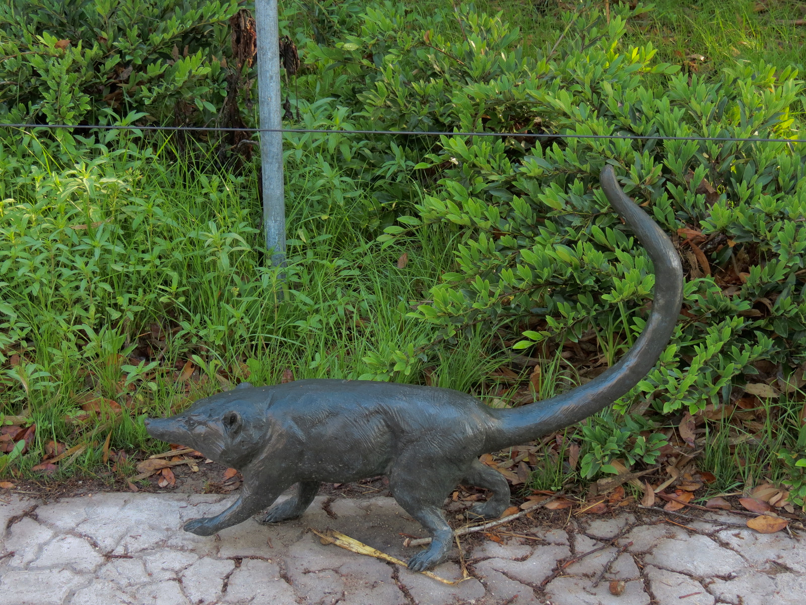 Pantanal - Entry Area - Coatimundi Sculpture