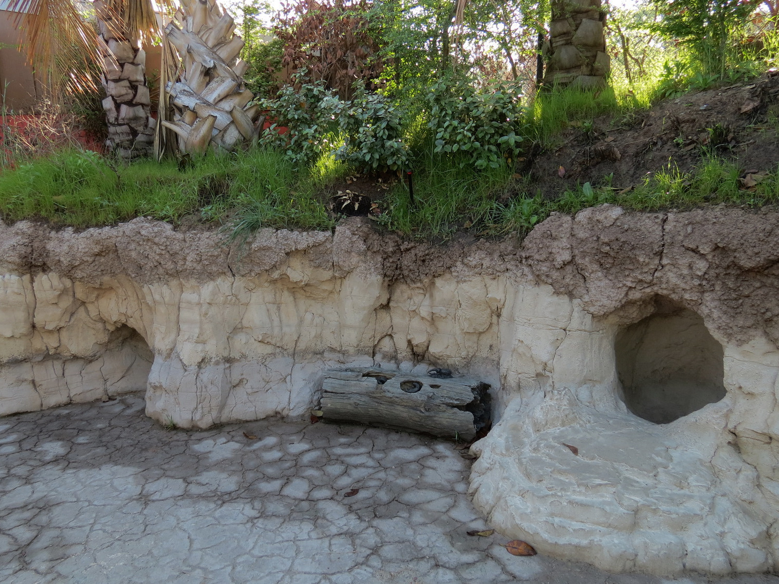 Pantanal - Fallen Log Sculpture