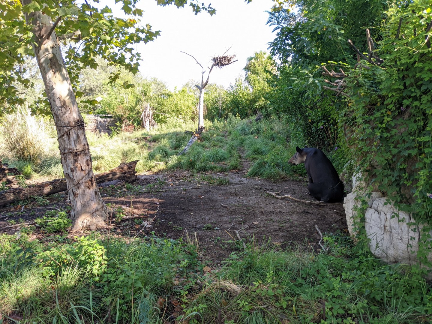 Pantanal - far end of mixed species exhibit