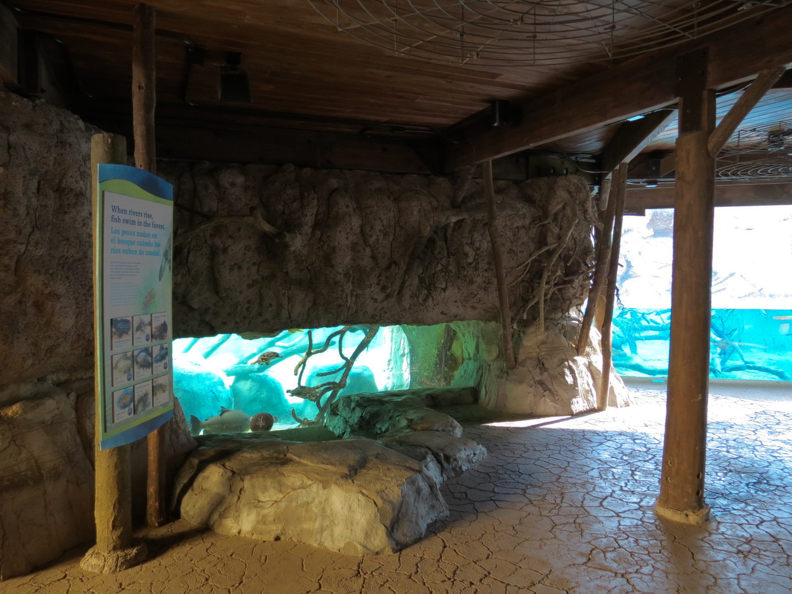 Pantanal - Fish Exhibit Adjoining Giant River Otter Exhibit